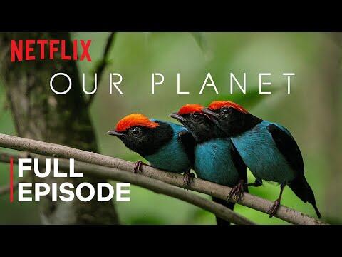 One Planet | Full Episode