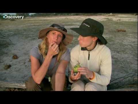 Alone in the Wild - Tanya & Amy's fruit find