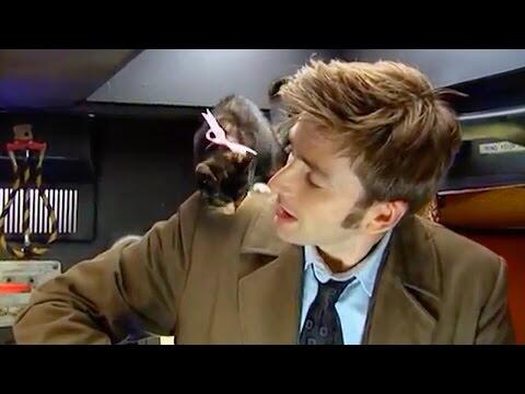 AWW! David Tennant & A Basket of Kittens | Doctor Who Confidential Series 3