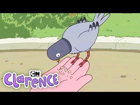 Feed the Birds | Clarence | Cartoon Network