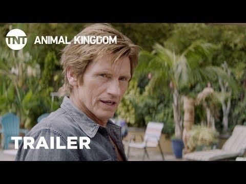 Animal Kingdom: Kingdom Come - Season Premiere May 29 [TRAILER] | TNT