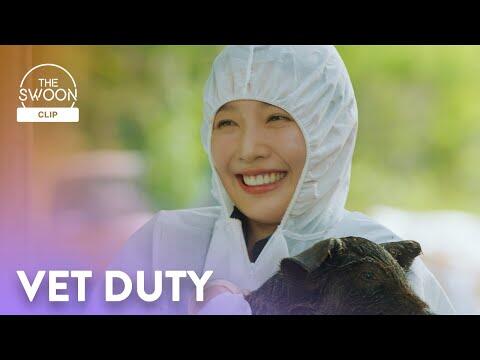 Park Soo-yeong (JOY) & Choo Young-woo go on a wild pig chase | Once Upon a Small Town Ep 2 [ENG SUB]