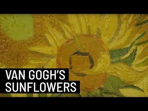 The Origin of Vincent Van Gogh's famous sunflowers