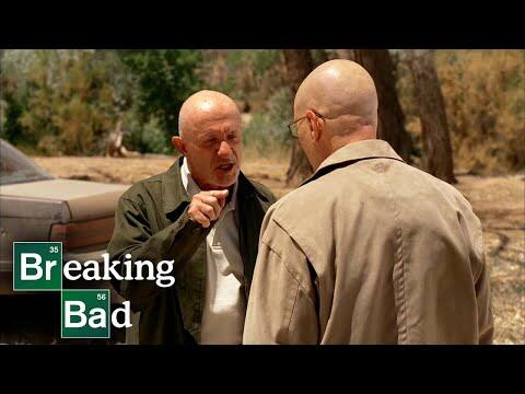 Walter White Kills Mike Ehrmantraut - Say My Name