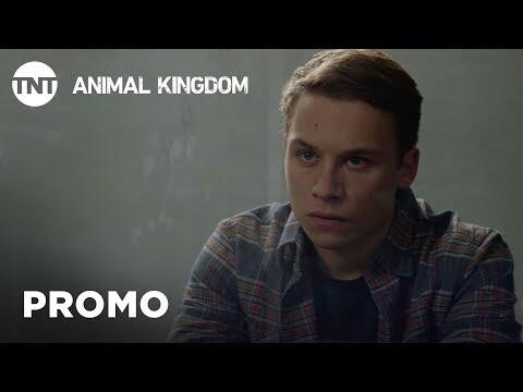 Animal Kingdom: Shock - Season 3 Premieres This Summer [PROMO] | TNT