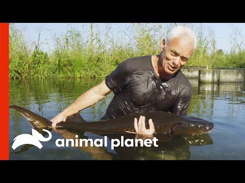 Jeremy Wade is in Search of the Lake Garda Monster | Jeremy Wade’s Dark Waters