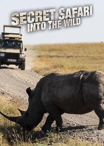 Secret Safari: Into the Wild