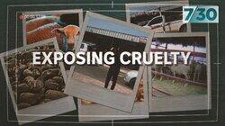 Exposing Cruelty