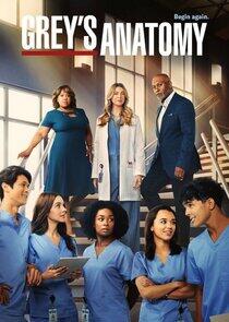 Grey's Anatomy - Season 19