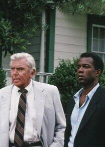 Matlock - Season 6