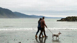 Beach Bound on the Lost Coast of California