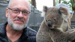 Are We Killing Our Koalas?