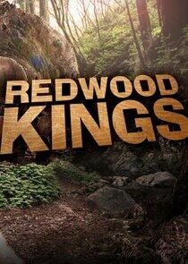 Redwood Kings