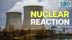 Nuclear Reaction