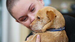 Wildfire Puppy Rescue