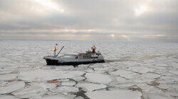 Bering Sea Swim Club