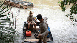 Bindi's Croc Trip Surprise