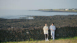 The Bracken Rain of Jeju