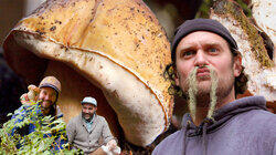 Brad Forages for Porcini Mushrooms