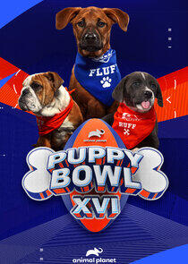 Puppy Bowl - Season 17 / Year 2020