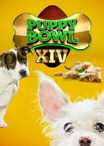 Puppy Bowl - Season 15 / Year 2018