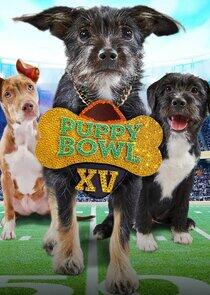 Puppy Bowl - Season 16 / Year 2019