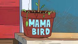 Mama Bird