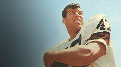 Steve Sabol