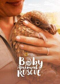 Baby Animal Rescue