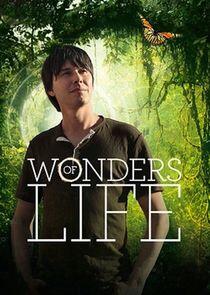 Wonders of Life