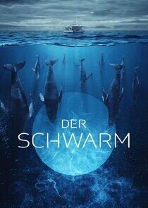 Der Schwarm