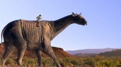 Paraceratherium and Footprint