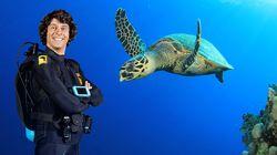 Andy and the Hawksbill Turtles