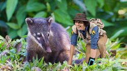 Andy and the Coati