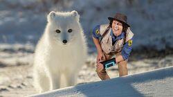 Andy and the Arctic Fox