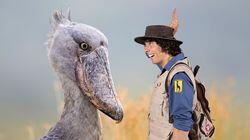 Andy and the Shoebill Chick