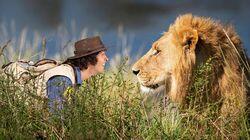 Andy and the Lions