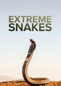 Extreme Snakes