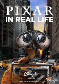 Pixar in Real Life