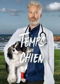 Temps de chien