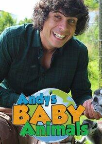 Andy's Baby Animals