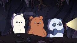 Bears in the Dark