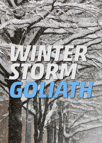 Winter Storm Goliath