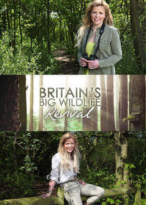 Britain's Big Wildlife Revival