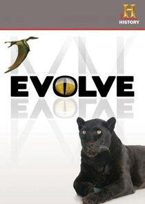 Evolve