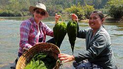 Laos