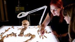 Iron Age Revealed