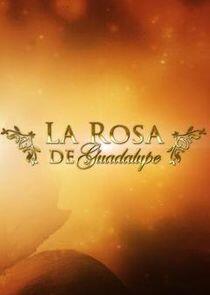 La rosa de Guadalupe