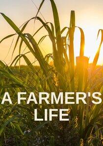 A Farmer's Life