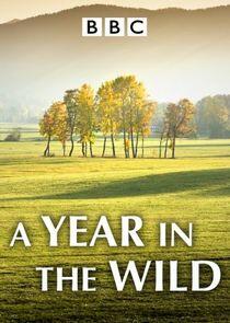 A Year in the Wild - Season 1